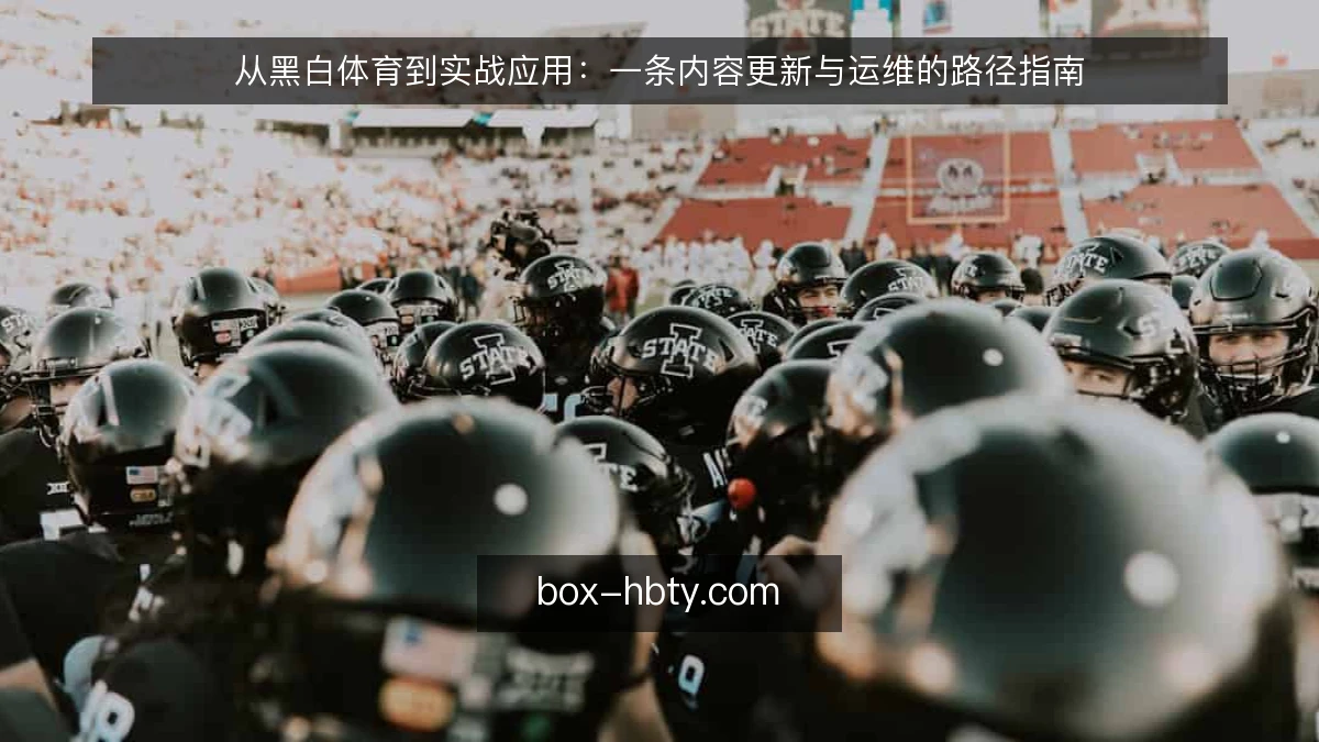 从黑白体育到实战应用：一条内容更新与运维的路径指南