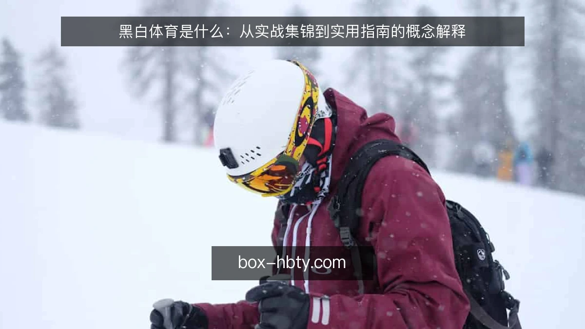 黑白体育是什么:从实战集锦到实用指南的概念解释