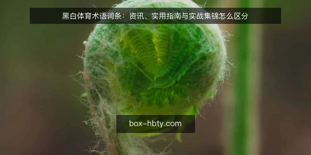 黑白体育术语词条：资讯、实用指南与实战集锦怎么区分 — 先厘清这组术语的边界 配图